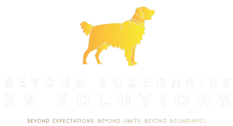 Beyond Boundaries K9 Solutions